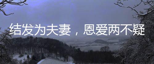 结发为夫妻，恩爱两不疑