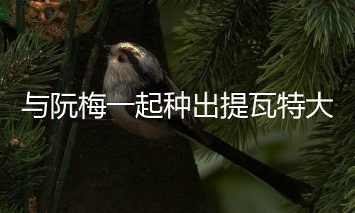 《席爷每天都想官宣》全文在线阅读