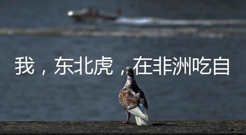 《80年代剽悍土著女》全文在线阅读
