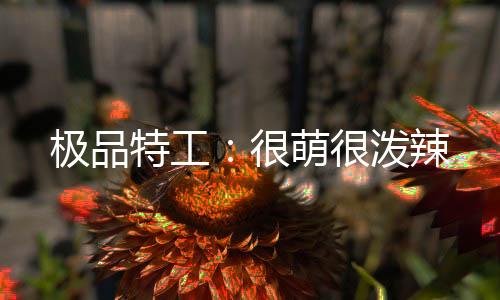 极品特工：很萌很泼辣