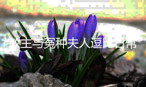 教主与冤种夫人逗比日常