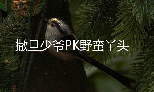 撒旦少爷PK野蛮丫头