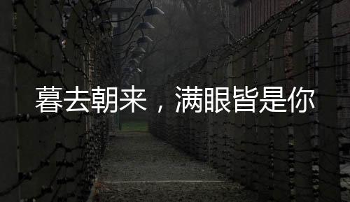 《电竞大神暗恋我》全文在线阅读