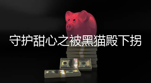 守护甜心之被黑猫殿下拐走