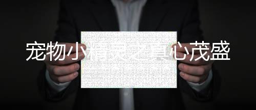 《被夺一切后她封神回归》全文在线阅读