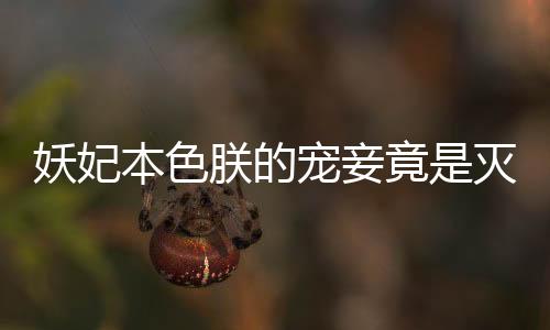 《致命偏宠》全文在线阅读