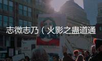 志微志乃（火影之
