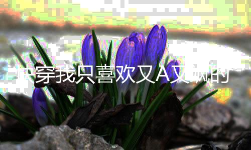 《惊！糙汉老公是年代文隐藏大佬》全文在线阅读