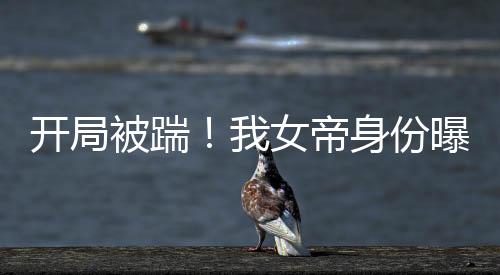 开局被踹！我女帝身份曝光