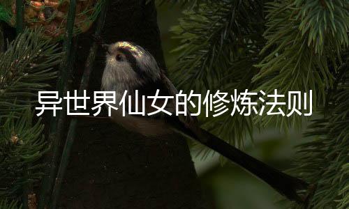 异世界仙女的修炼法则