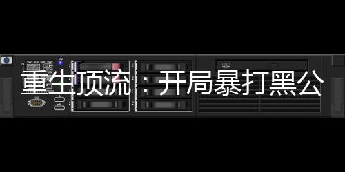 重生顶流：开局暴打黑公关