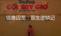 镜像囚笼：双生逆