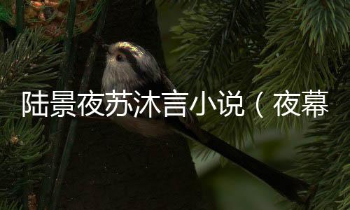 《穿书后，她在八十年代发家致富》全文在线阅读