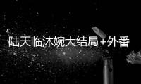 陆天临沐婉大结局