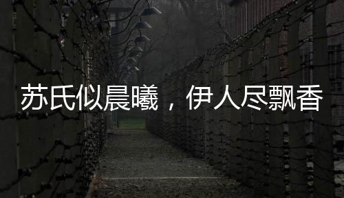《我见青山》全文在线阅读