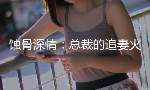 《全网黑后我在军旅综艺杀疯了》全文在线阅读